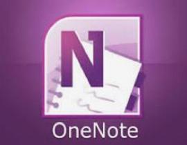 MICROSOFT ONENOTE: Great Concept Need to Know